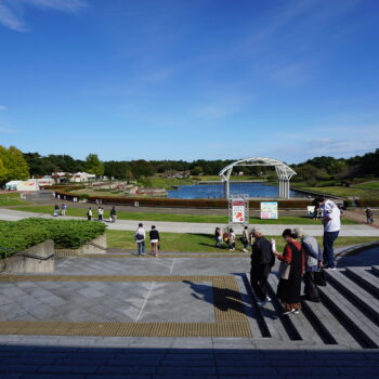 旅情報　その485.国営ひたち海浜公園（2）