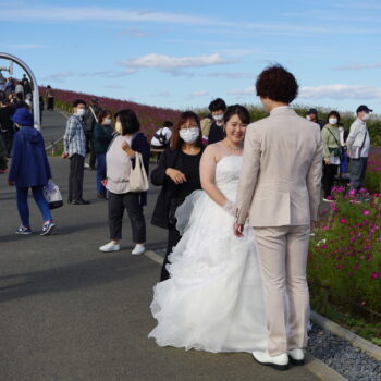 旅情報　その489.国営ひたち海浜公園（6）