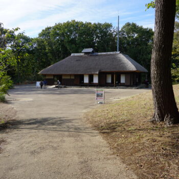 旅情報　その491.国営ひたち海浜公園（8）