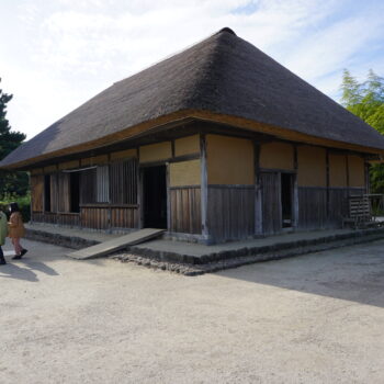 旅情報　その492.国営ひたち海浜公園（9）