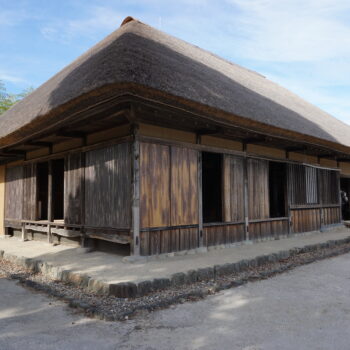 旅情報　その493.国営ひたち海浜公園（10）