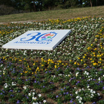 旅情報　その494.国営ひたち海浜公園（11）