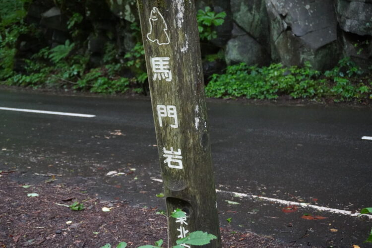 DSC02331 1