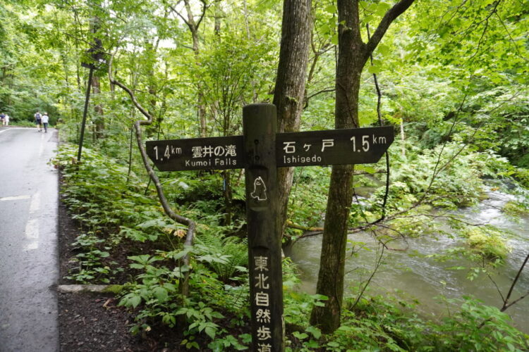 DSC02337