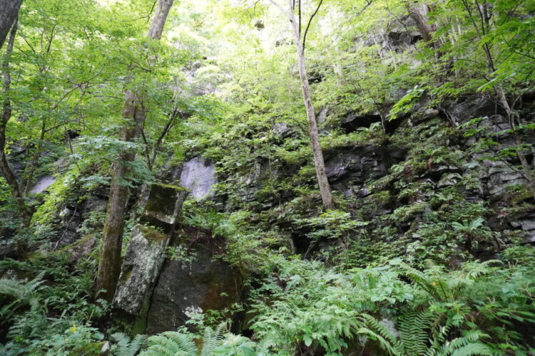 DSC02338