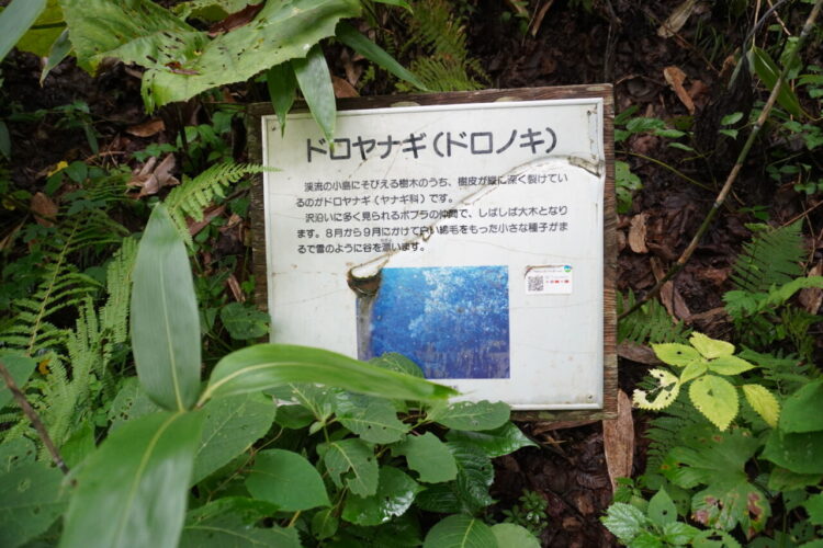 DSC02356