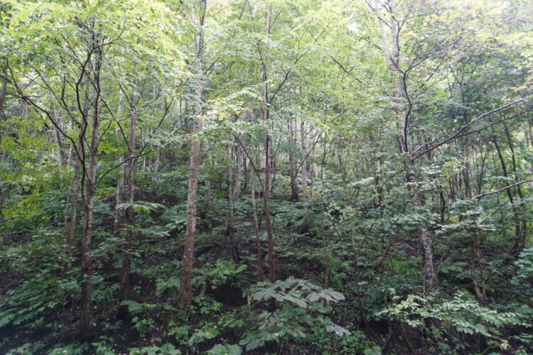 DSC02359