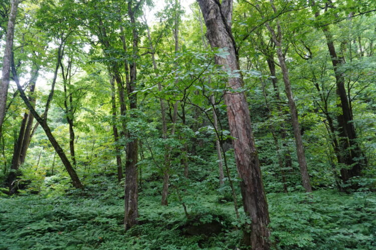 DSC02361