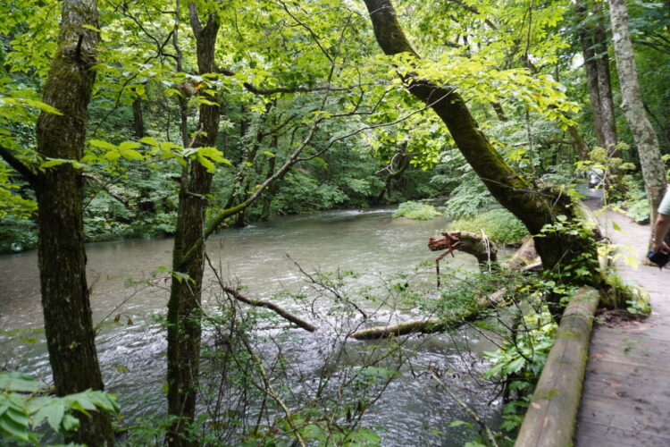 DSC02363