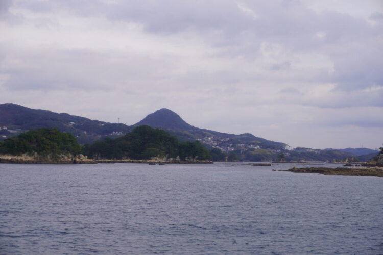 DSC02510 3