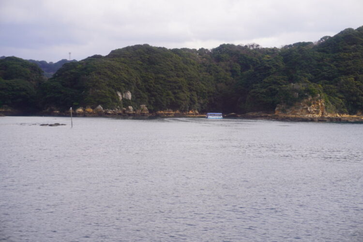 DSC02513