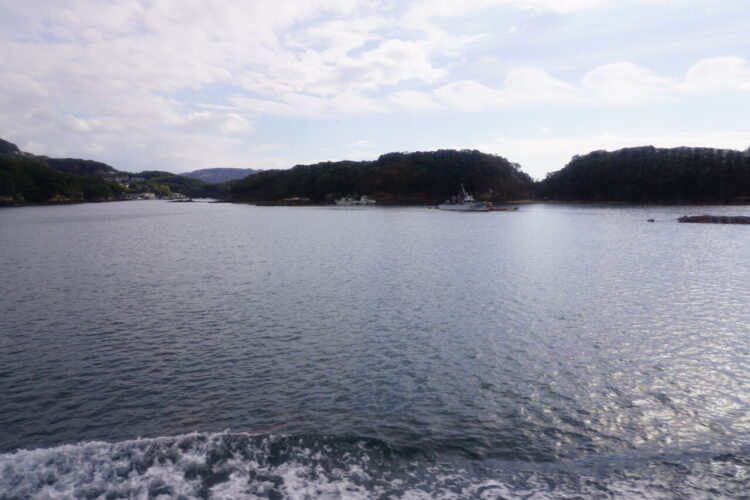DSC02516