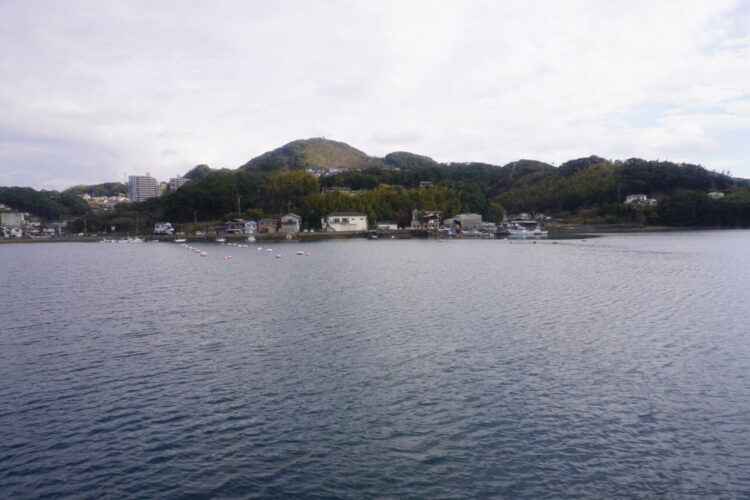 DSC02517