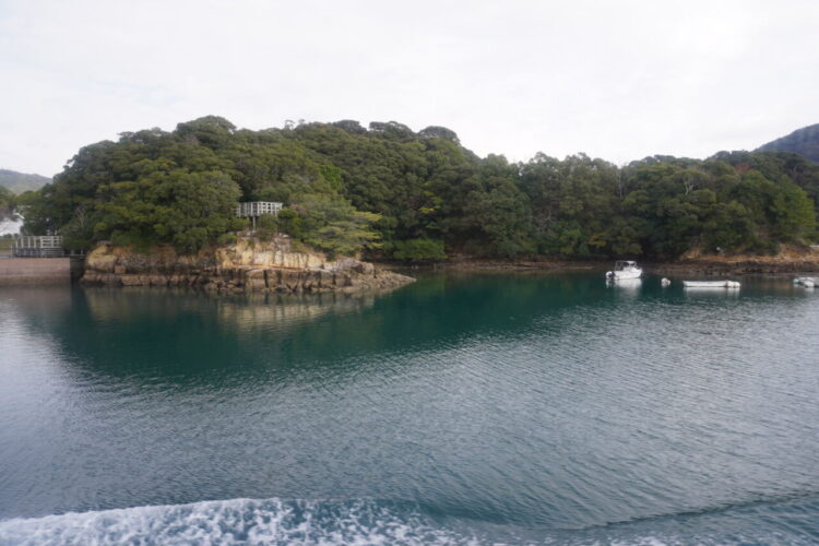 DSC02520