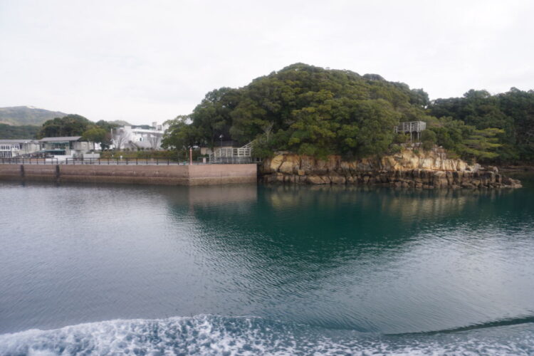 DSC02521 1