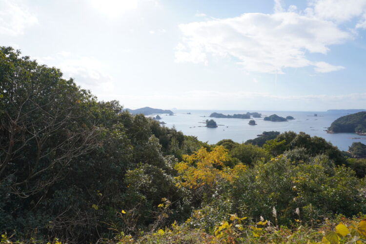 DSC02535