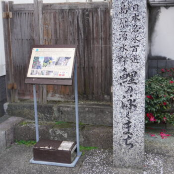 旅情報　その793．島原武家屋敷（2）