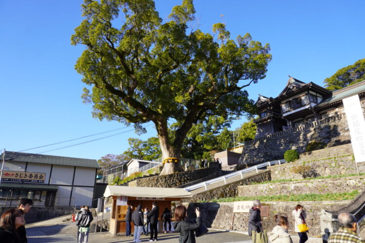 旅情報 その797.鎮西大社 諏訪神社(1) 9 DSC02745