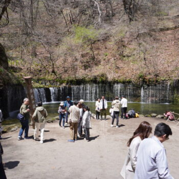 旅情報　その805．白糸の滝（2）