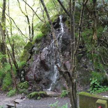 旅情報　その841．二度目の花園神社参拝（1）