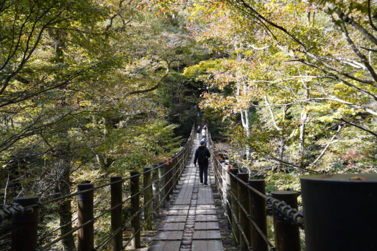 旅情報　その850．花貫渓谷(3)