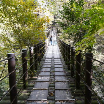 旅情報　その851．花貫渓谷(4)