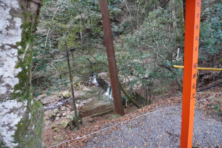 旅情報　その867．日吉大社（2）