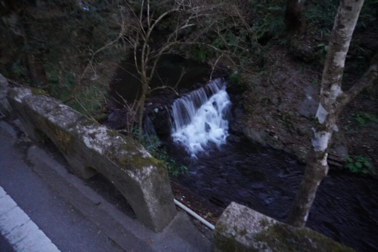 DSC03658