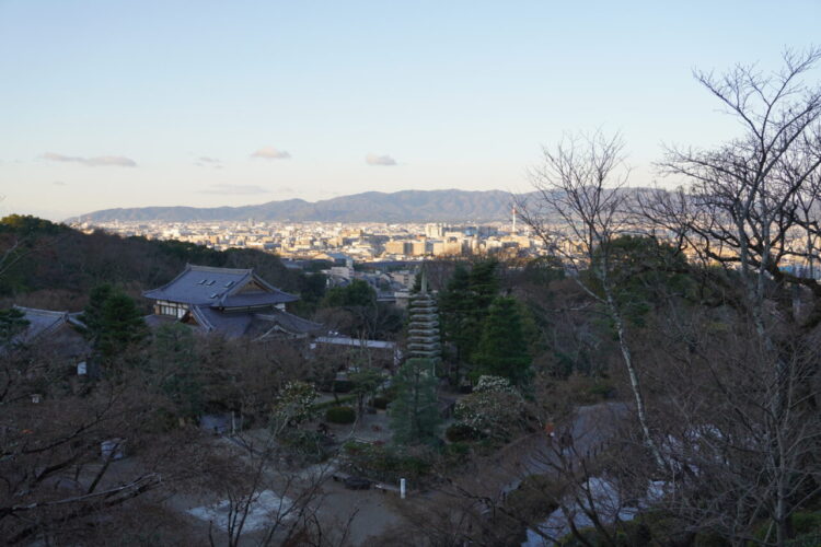 DSC03680