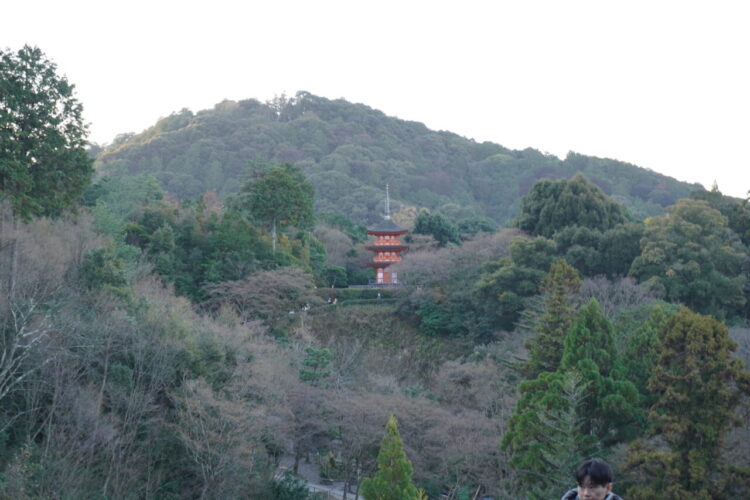 DSC03697