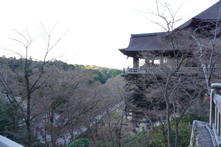 DSC03707