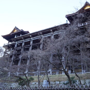 旅情報　その876．清水寺（6）