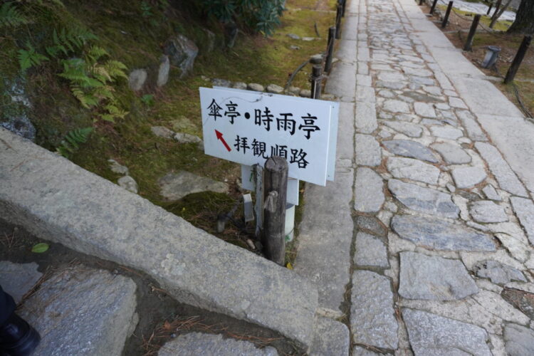 DSC03794