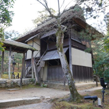旅情報　その881.　高台寺（3）