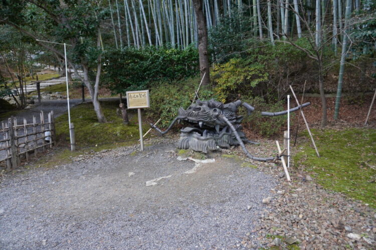 DSC03804