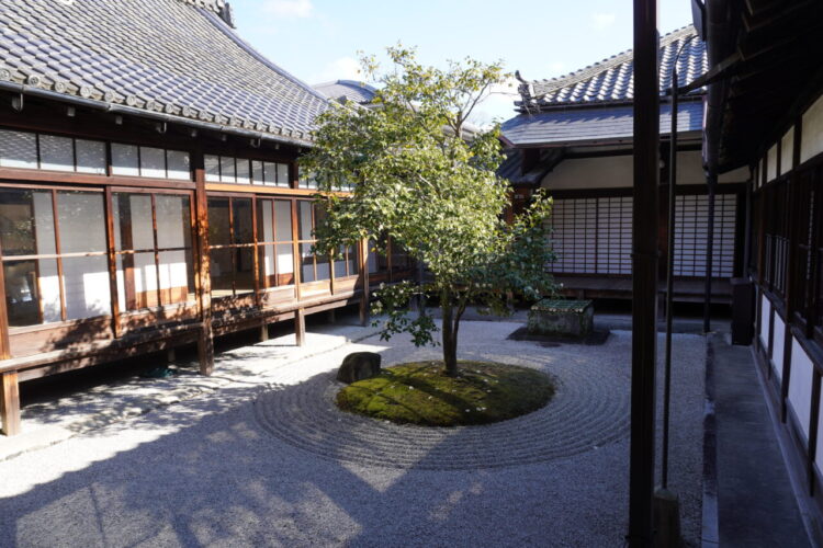DSC03816