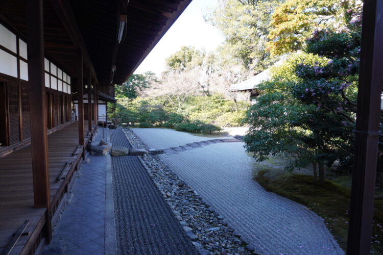 DSC03820