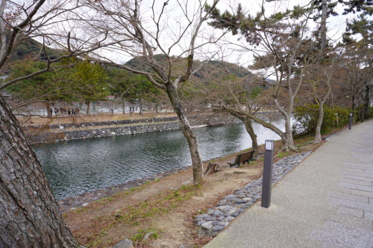 DSC03852