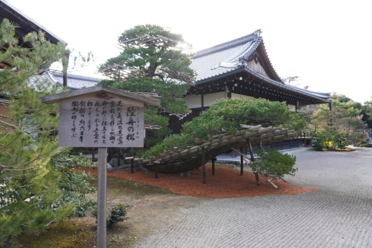 旅情報 その890. 金閣寺(3) 3 DSC03920