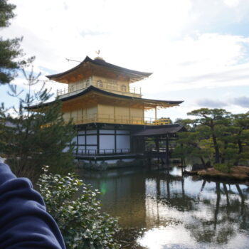 旅情報　その890.　金閣寺（3）