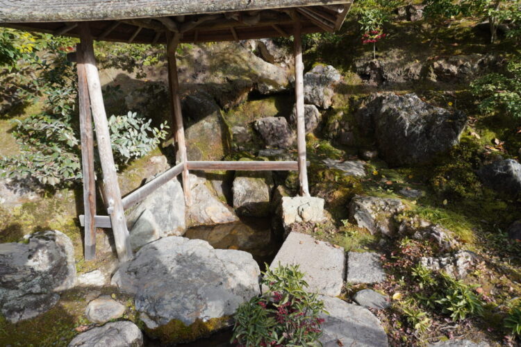 旅情報 その890. 金閣寺(3) 9 DSC03932