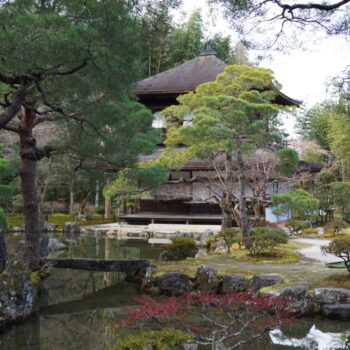 旅情報　その894.　銀閣寺（3）