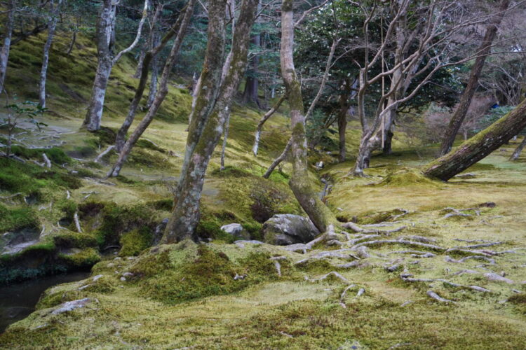 DSC03980