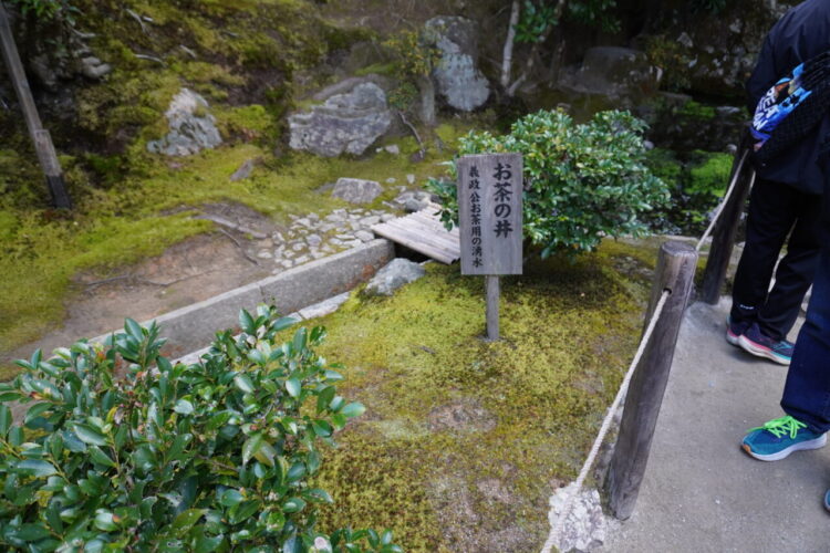 DSC03991