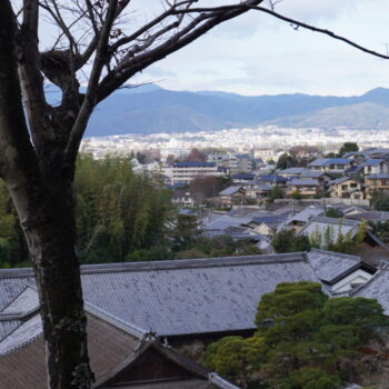 旅情報　その896.　銀閣寺（5）