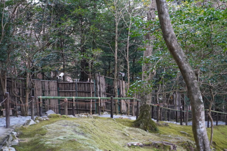 DSC04002