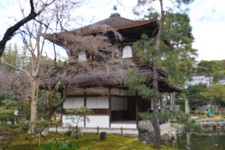DSC04005