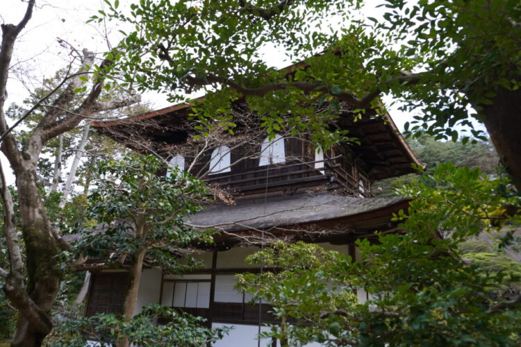 DSC04008