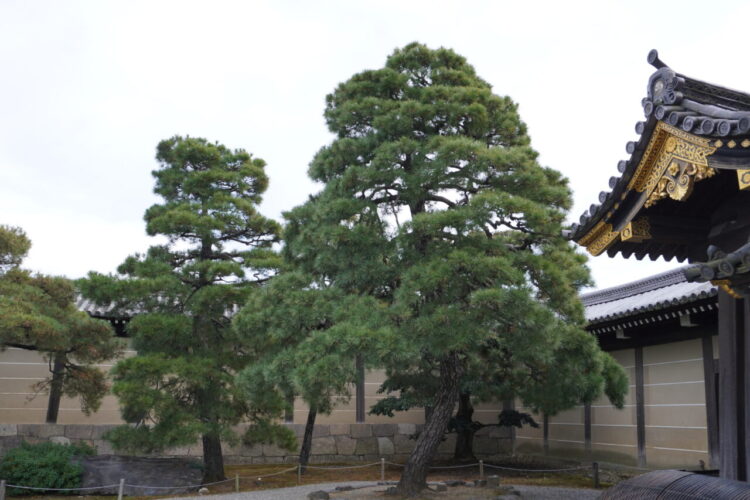 DSC04023