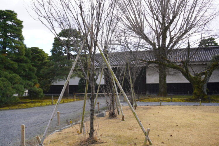 DSC04077